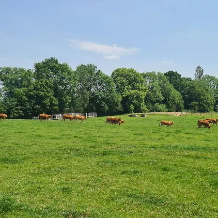 Les Limousines - Proche De Pairi Daiza, Mons, 3*